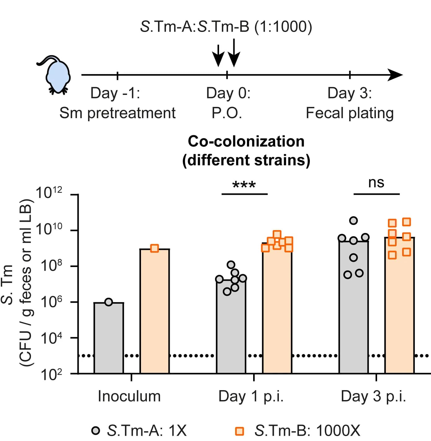 Open access visualization of Bar Plot, Scatter Plot, Mice, Infection, Different Strains