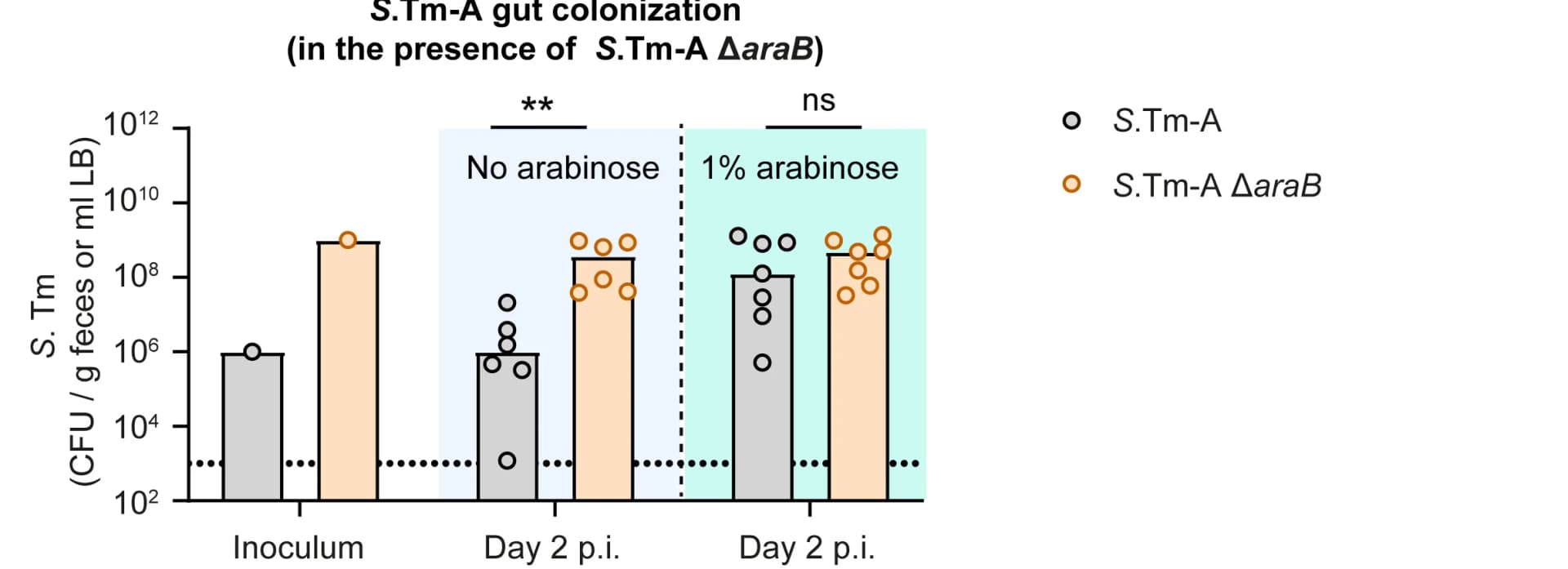 Open access visualization of Bar Plot, Scatter Plot, Fecal Load, S.Tm-A, S.Tm-A ΔaraB