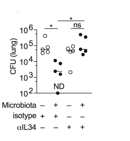 Open access visualization of Scatter Plot, Pneumococcal Burdens, WT Mice, SCID Mice