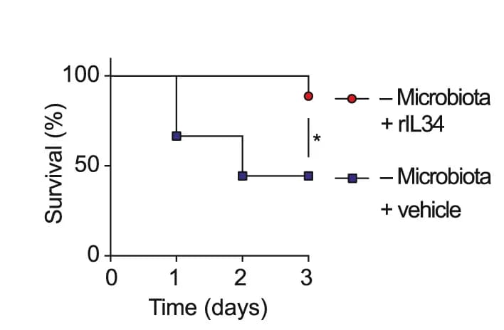 Open access visualization of Line Step, Survival Curve, Survival, WT Mice, Intranasal Pneumococcal Challenge