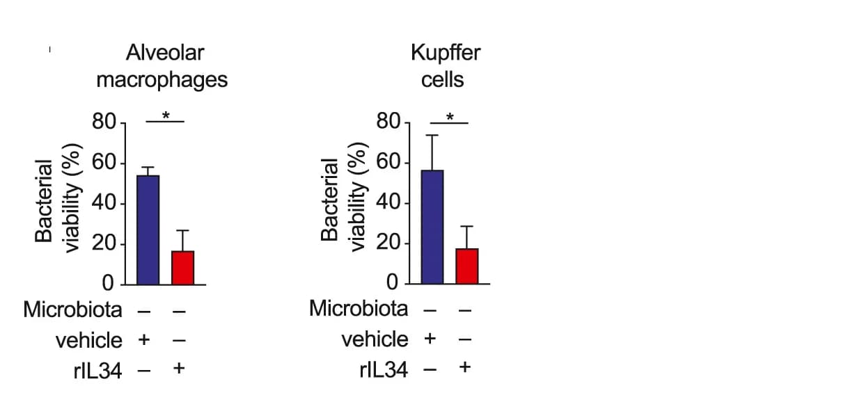 Open access visualization of Bar Plot, Error Bars, Pneumococcal Killing, Alveolar Macrophages, Kupffer Cells