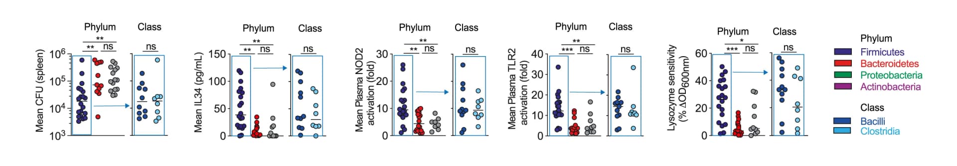 Open access visualization of Scatter Plot, Pneumococcal Burdens
