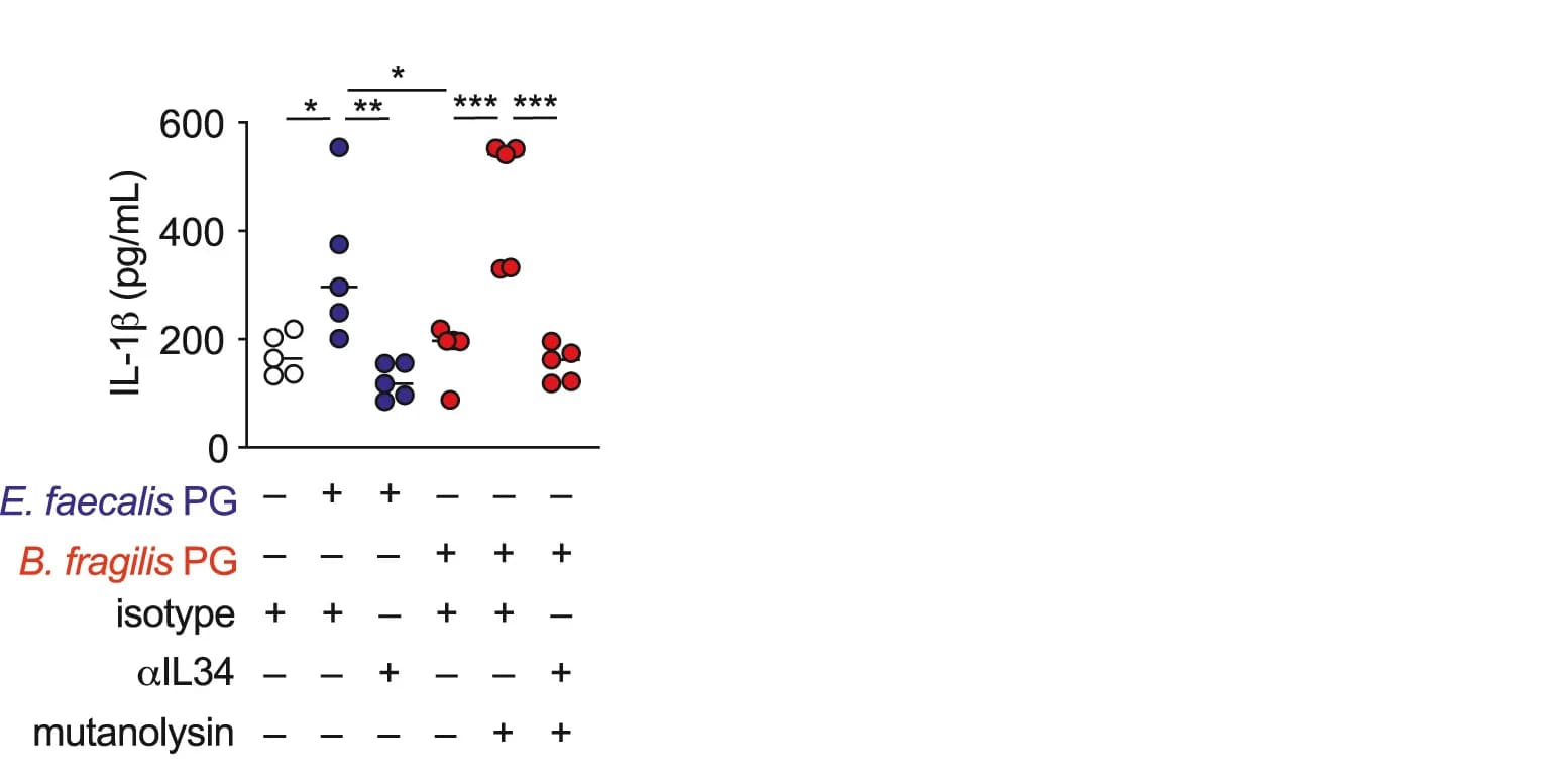 Open access visualization of Scatter Plot, Cytokines, Infection, Mice