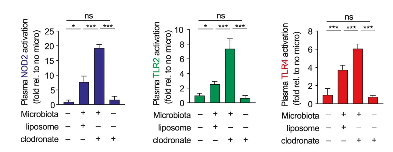 Open access visualization of Bar Plot, Error Bars, HEK293 Cells, Plasma, Wild-Type Mice