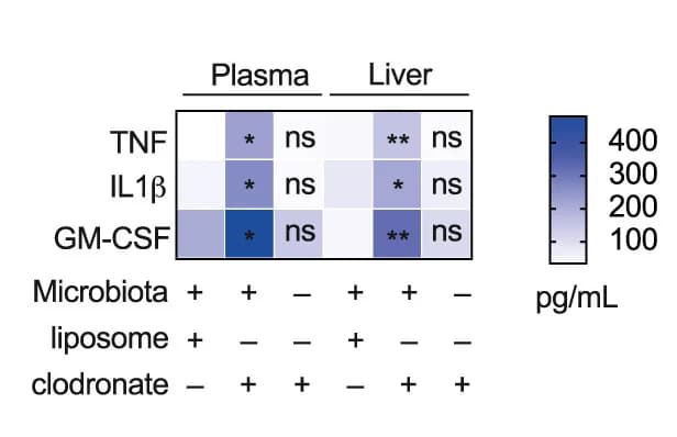 Open access visualization of Heatmap, Cytokine Levels, Mice