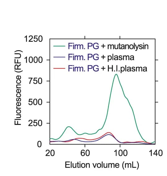 Open access visualization of Line Plot, SEC, FITC-labeled Peptidoglycan, Firmicute Peptidoglycan