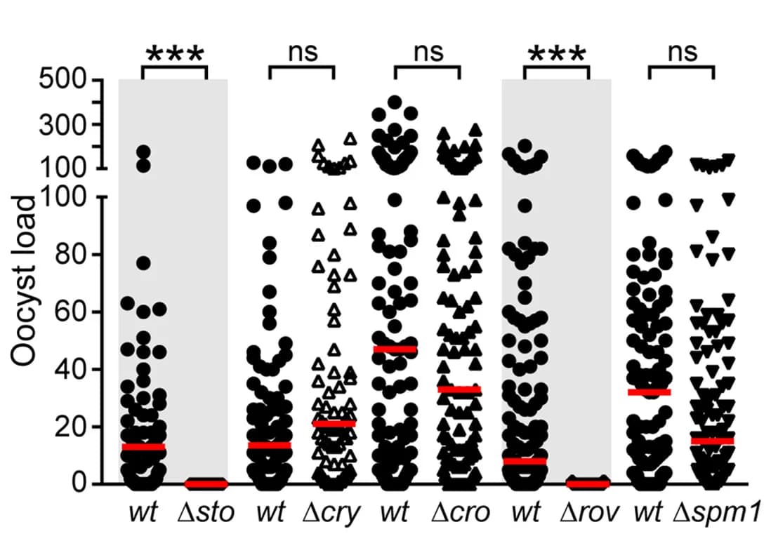 Open access visualization of Scatter Plot, Oocyst Load, A. coluzzii, Midguts, Mann-Whitney