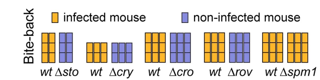 Open access visualization of Clustered, Mouse Infection, Mosquitoes, Mutant Parasites