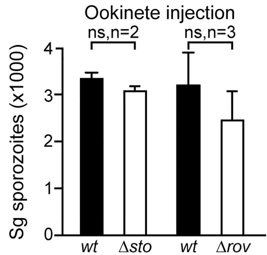 Open access visualization of Bar Plot, Error Bars, Sporozoites, Salivary Glands, Ookinetes
