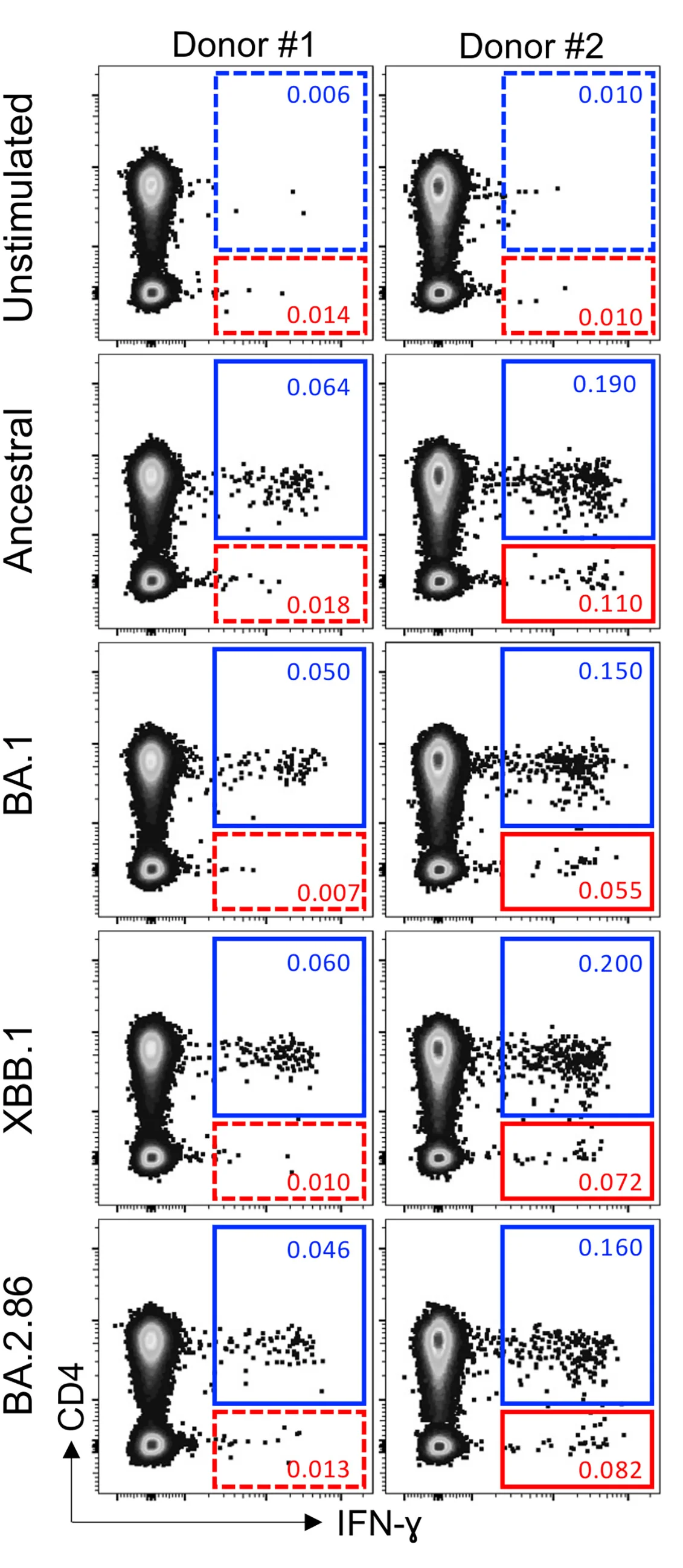 Open access visualization of Scatter Plot, IFN-γ Production, Spike, CD4+ T Cells, CD8+ T Cells