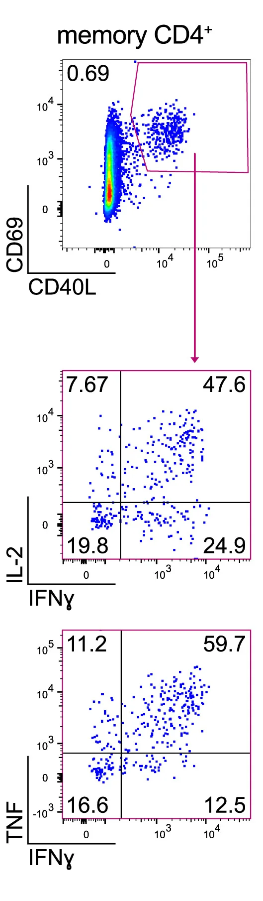Open access visualization of Scatter Plot, Interleukin-2, Interferon-gamma, Tumor Necrosis Factor, Cytokine Expression