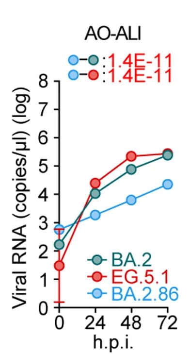 Open access visualization of Line Plot, Error Bars, Cell Cultures, Clinical Isolates, AO-ALI