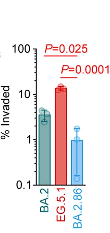 Open access visualization of Bar Plot, Error Bars, Viral RNA, Airway-on-a-Chip, Virus Invasion