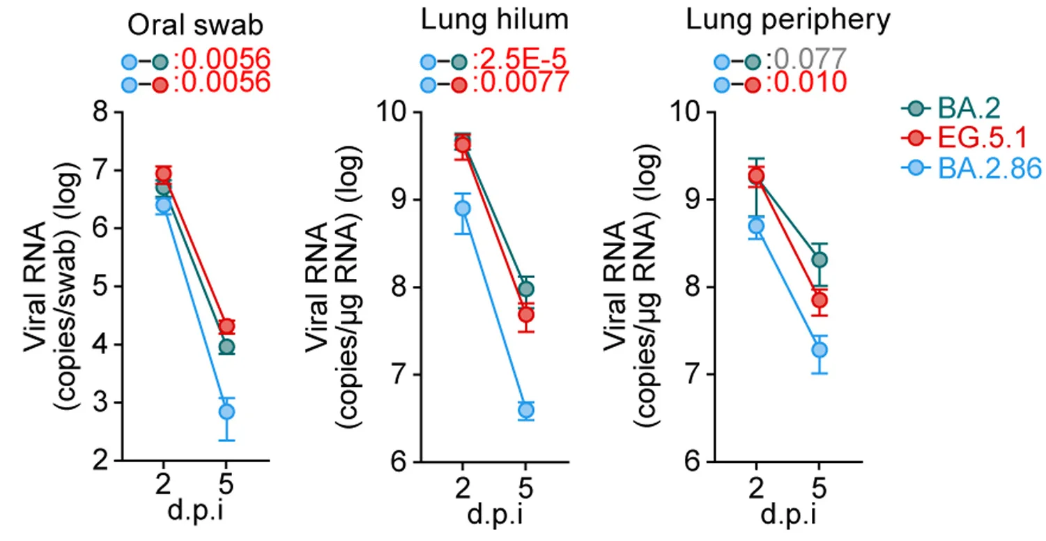 Open access visualization of Line Plot, Error Bars, Viral RNA Load, Hamsters, Oral Swab