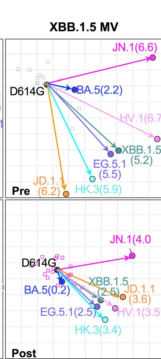 Open access visualization of Scatter Plot, XBB.1.5 Monovalent Vaccine, Cohort