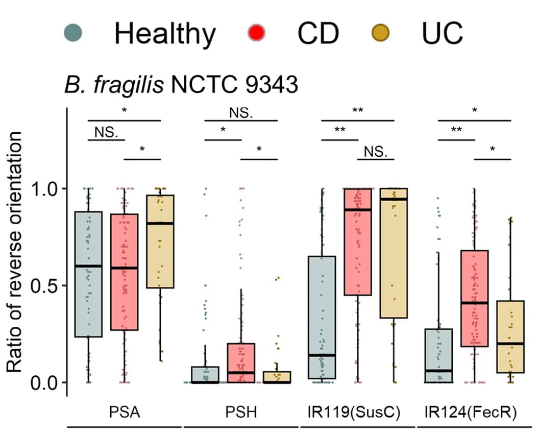 Open access visualization of Box Plot, Scatter Plot, Raincloud Plot, Invertible DNA Regions, B. fragilis