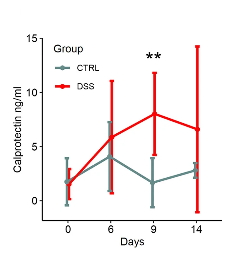 Open access visualization of Line Plot, Error Bars, Calprotectin Levels, Control Group, DSS Treated Mice