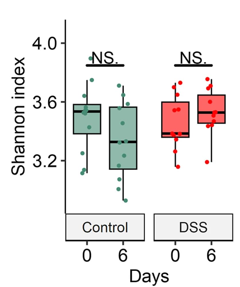 Open access visualization of Box Plot, Scatter Plot, Alpha Diversity, Shannon Index, Control Group