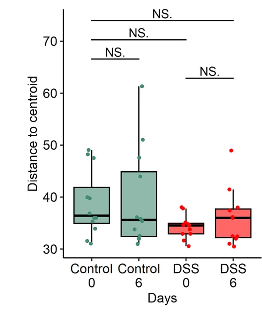 Open access visualization of Box Plot, Scatter Plot, Beta Dispersion, Aitchison Distance, Centroid