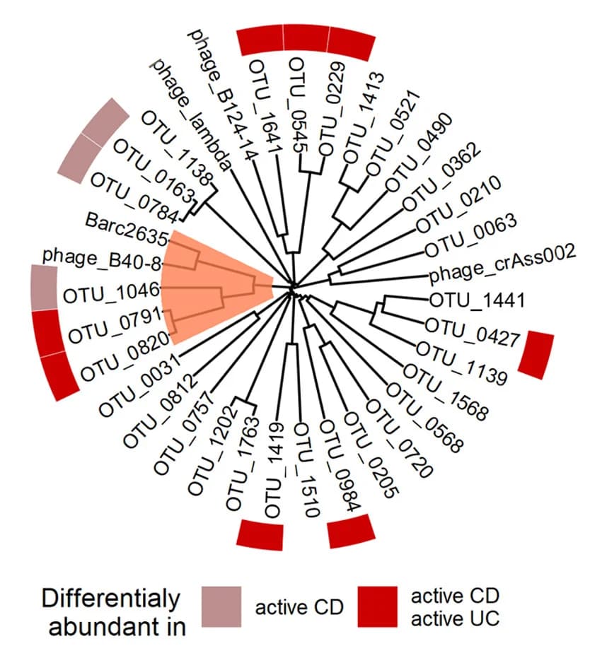 Open access visualization of Network, Pathway, Bar Plot, Phylogenetic Tree, Viral OTUs