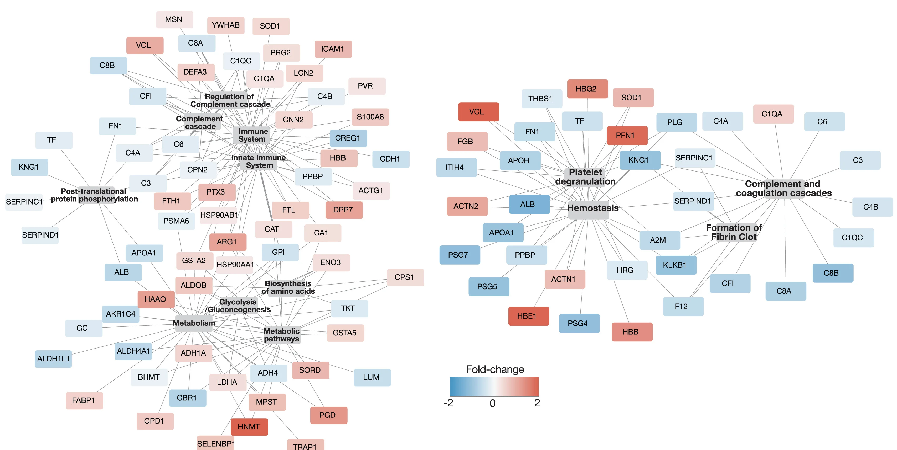 Open access visualization of Network, Pathway, Protein-Protein Interaction, Hemostasis Pathway, Immune System Pathways