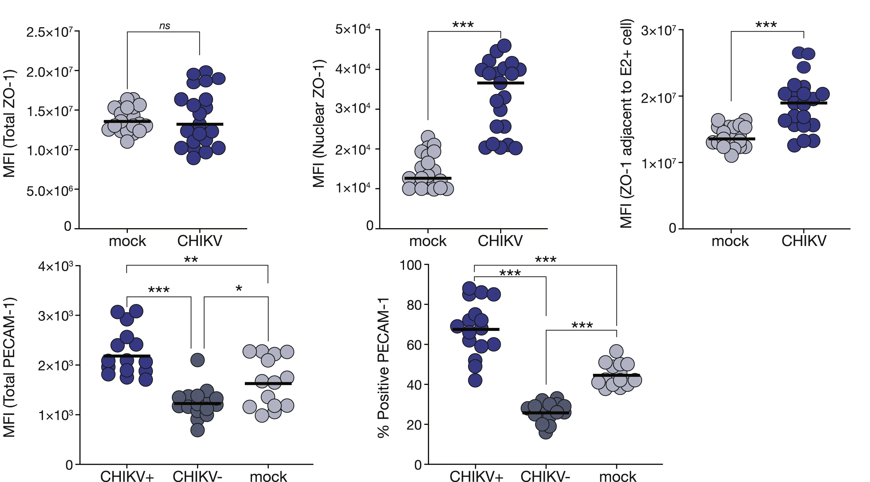 Open access visualization of Scatter Plot, Quantitation, ZO-1, PECAM-1, Mean Fluorescence Intensity
