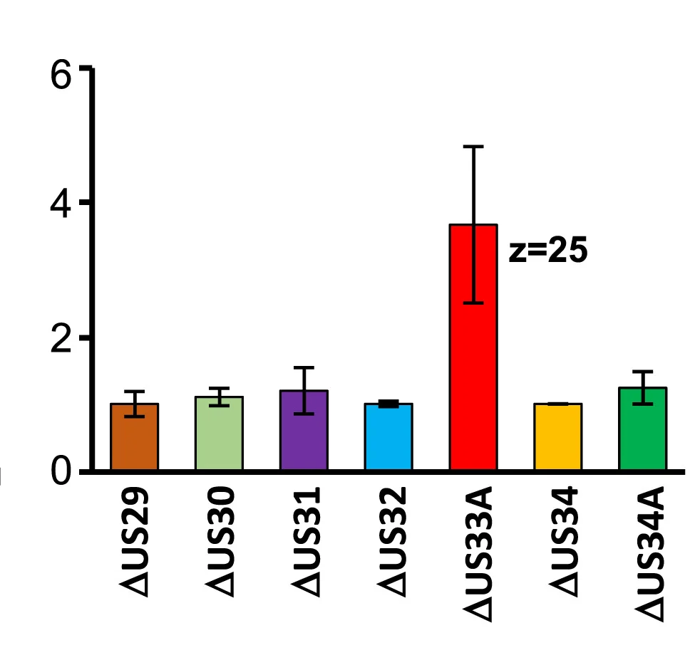 Open access visualization of Bar Plot, Error Bars, Proteomic Screen, Viral Mutants, US33A