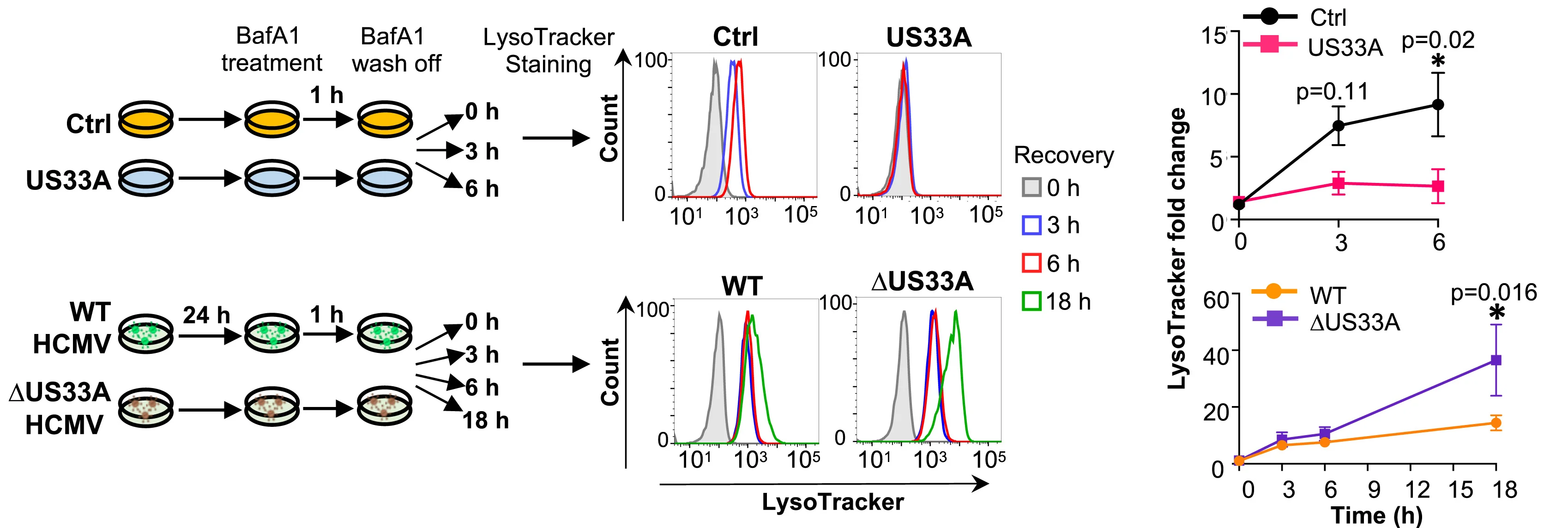 Open access visualization of Line Plot, Error Bars, Illustration, Density Plot, US33A
