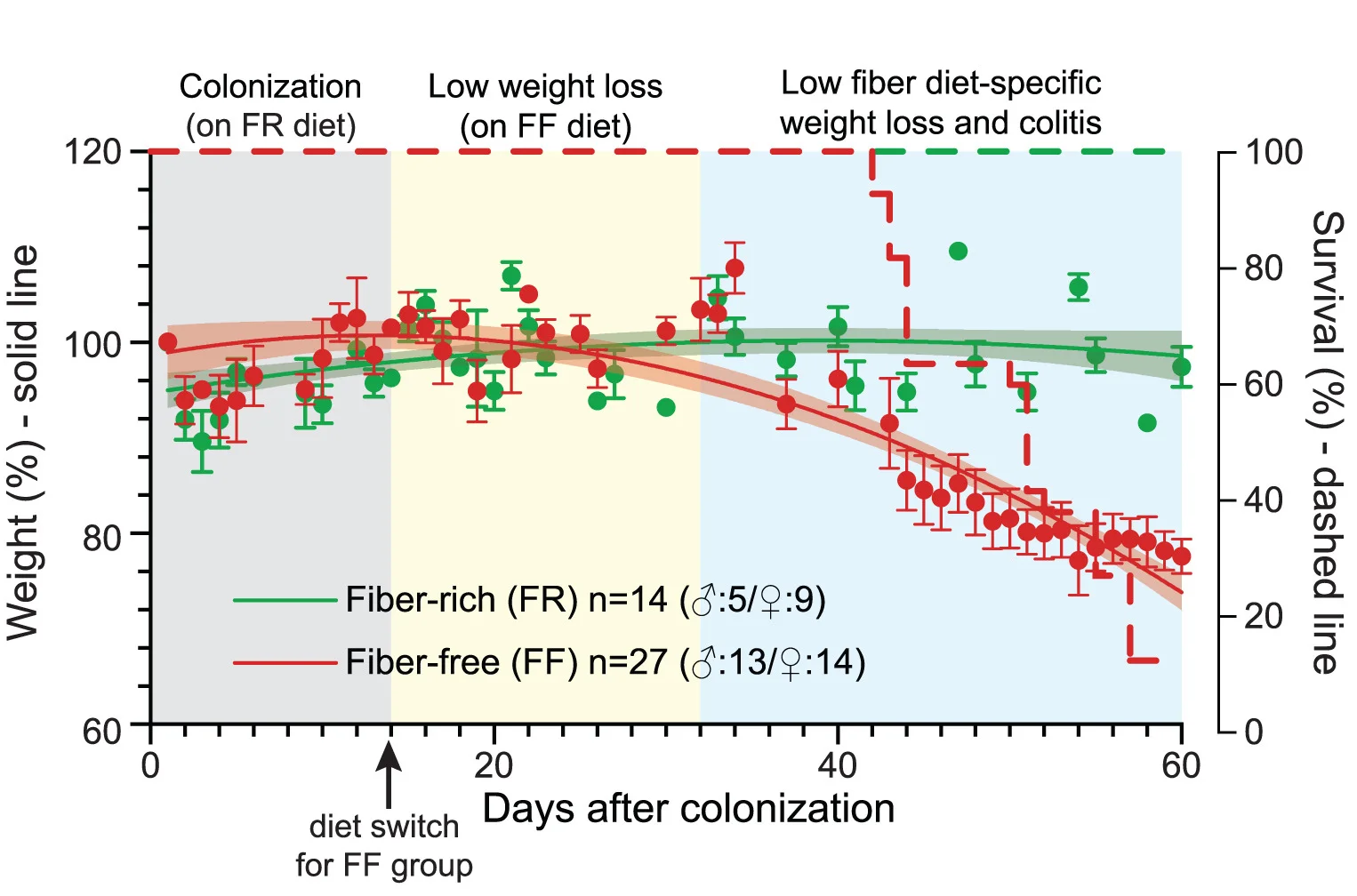 Open access visualization of Line Plot, Error Bars, Survival Curve, Il10-/- Mice, SM14 Colonization