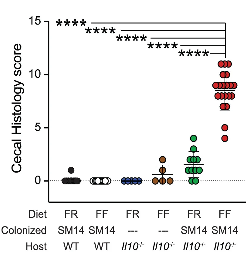 Open access visualization of Scatter Plot, Histological Scoring, Cecal Tissue, Il10-/- Mice, Fiber-Rich Diet
