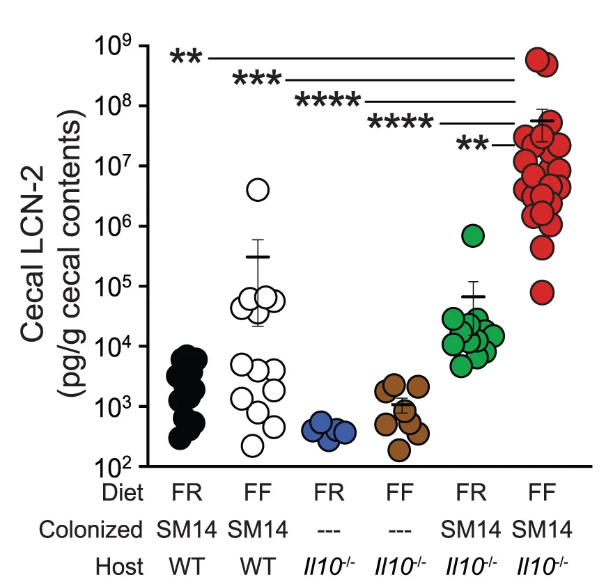Open access visualization of Scatter Plot, Error Bars, Cecal Lipocalin-2, LCN-2, Il10-/- Mice