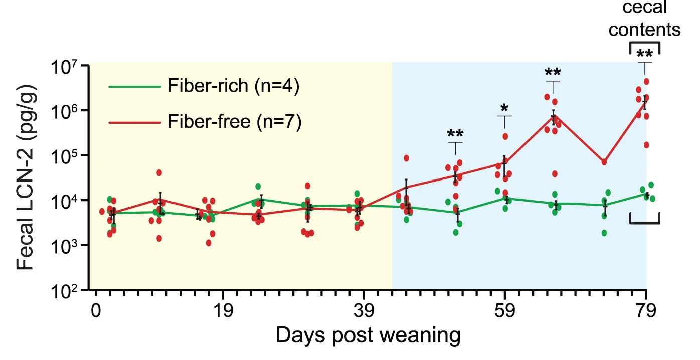 Open access visualization of Line Plot, Scatter Plot, Error Bars, Fecal LCN-2, SM14 Colonization
