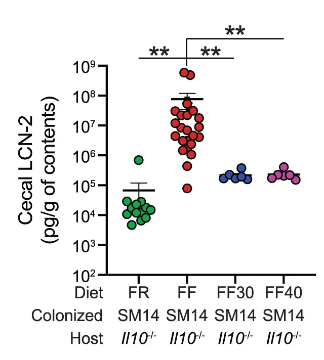 Open access visualization of Scatter Plot, Error Bars, Cecal LCN-2, SM14 Colonization, Fiber-Free Diet