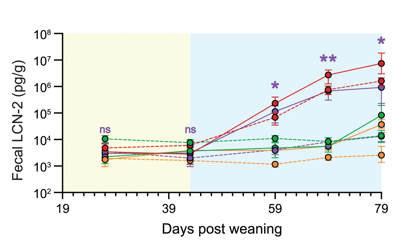 Open access visualization of Line Plot, Error Bars, Cecal LCN-2 Levels, SPF Mice, SM14 Mice