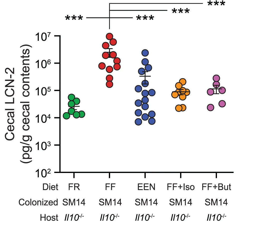 Open access visualization of Scatter Plot, Error Bars, Cecal LCN-2 Levels, Mice