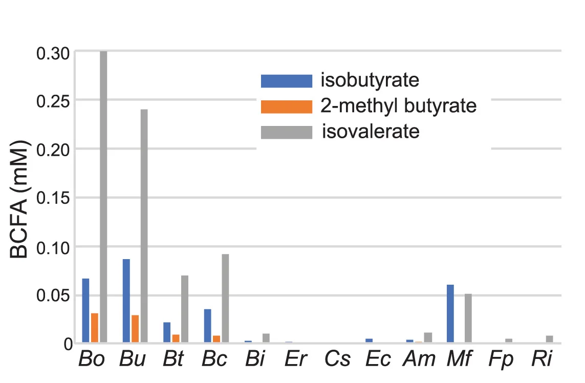Open access visualization of Bar Plot, Clustered, Short-Chain Fatty Acids, Branched-Chain Fatty Acids, Culture Supernatants