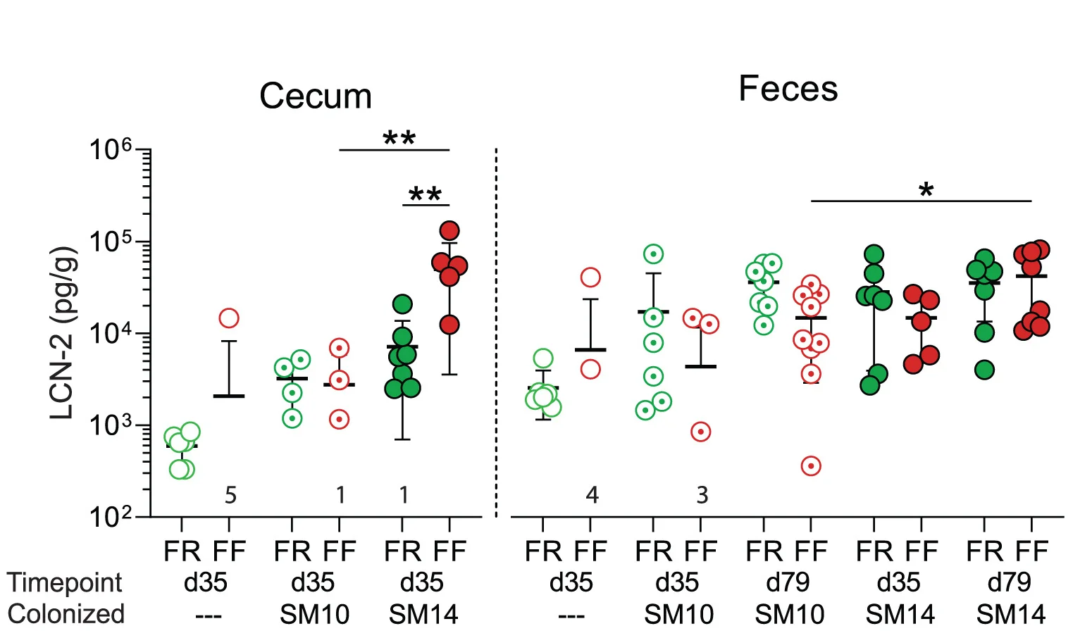 Open access visualization of Scatter Plot, Error Bars, LCN-2 Levels, Cecal Contents, Feces