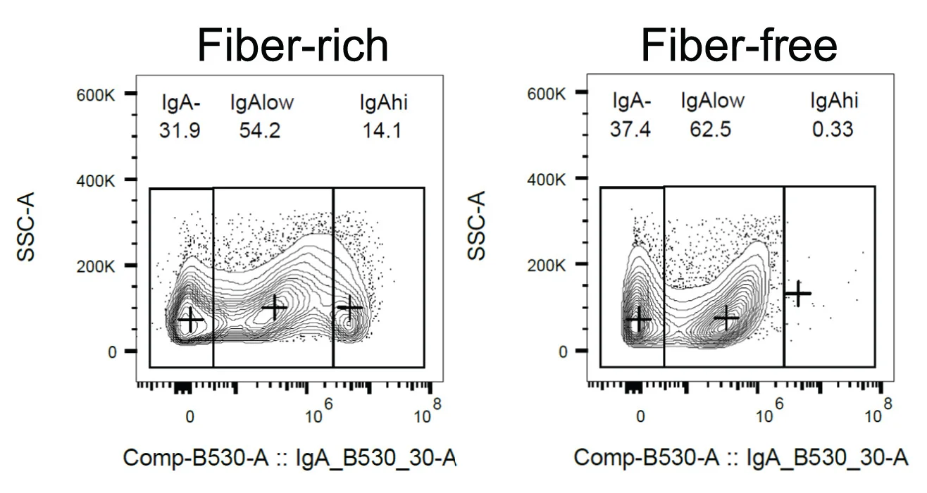 Open access visualization of Scatter Plot, Density Plot, IgA Coating Profiles, Fecal Bacteria, SM14-colonized Mice