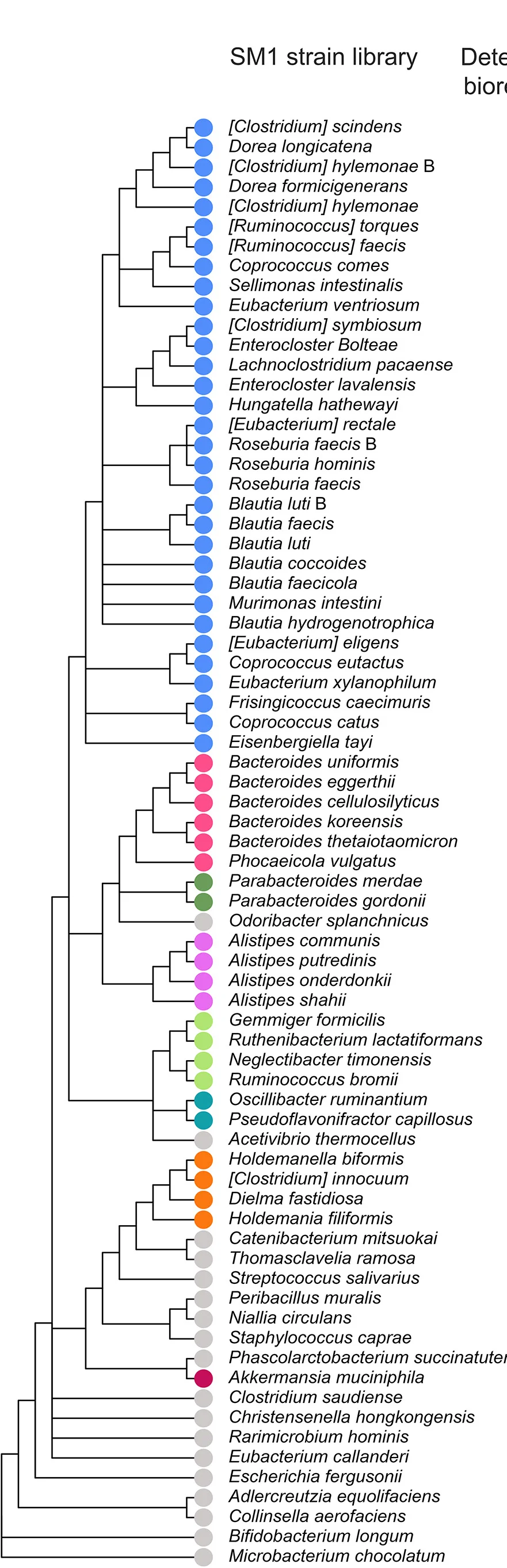 Open access visualization of Network, Pathway, Phylogenetic Tree, Strains, 16S rRNA Gene