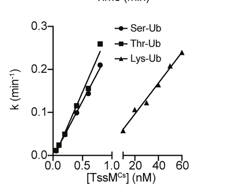 Open access visualization of Line Plot, Scatter Plot, Regression Plot, Rate Constants, TssMCs Protein