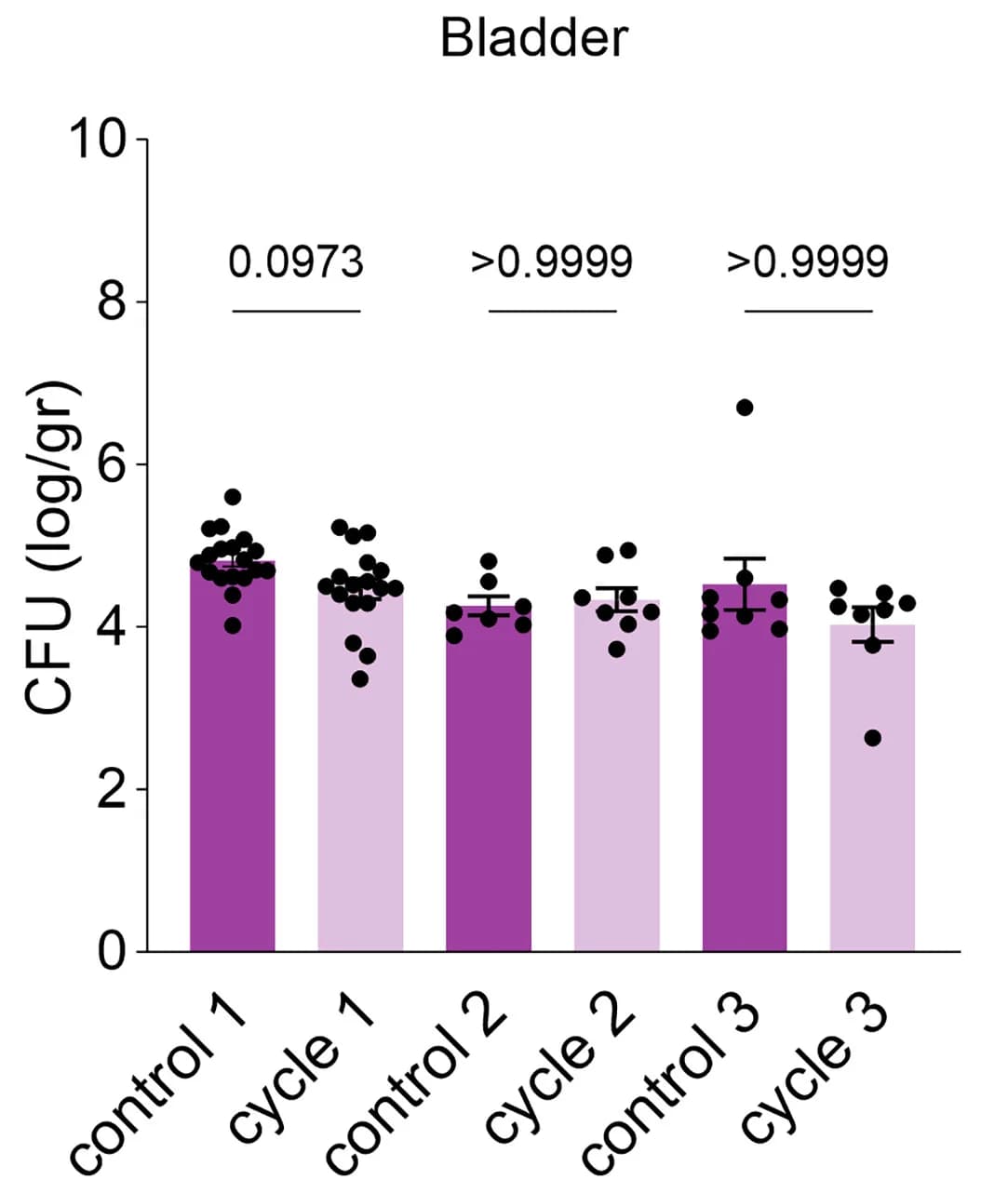 Open access visualization of Bar Plot, Error Bars, Scatter Plot, Bacterial Counts, Kidneys