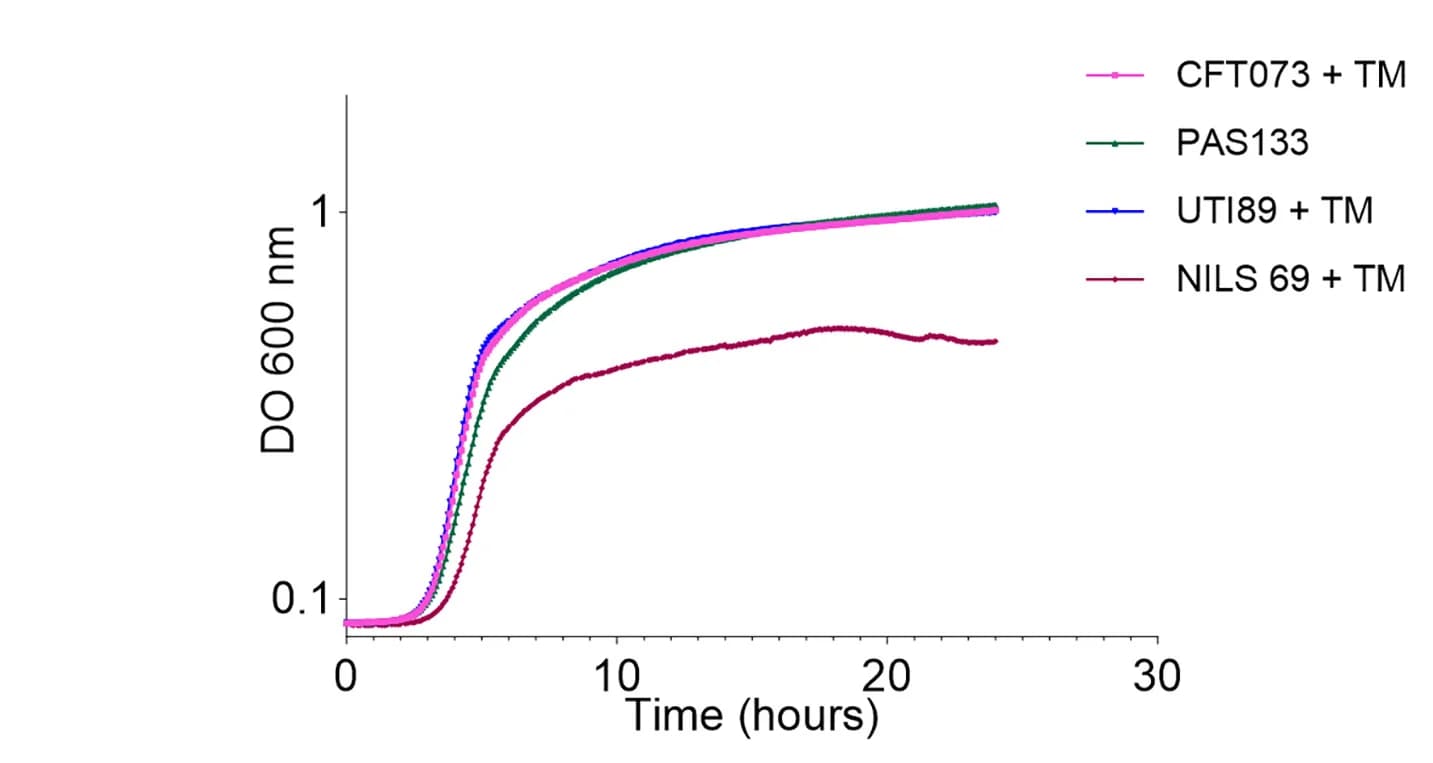 Open access visualization of Line Plot, Growth Curve, Time-Kill Curve, Bacterial Strains