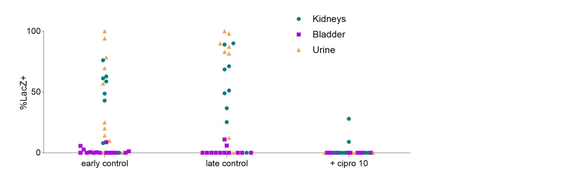 Open access visualization of Scatter Plot, LacZ, Bacteria, Kidneys, Bladder