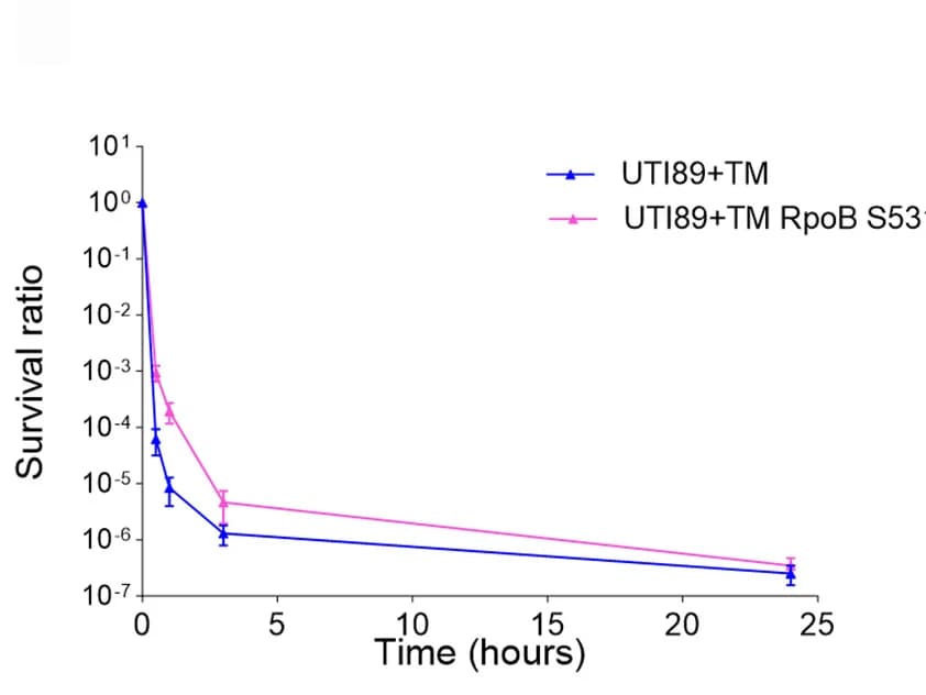 Open access visualization of Line Plot, Error Bars, Time-Kill Curves, Ciprofloxacin, UTI89+TM Strain