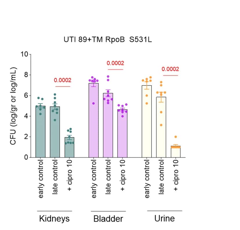 Open access visualization of Bar Plot, Error Bars, Scatter Plot, Bacterial Counts, Kidneys