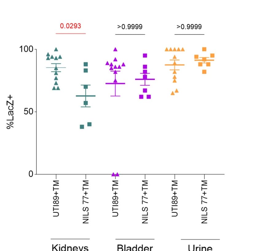 Open access visualization of Scatter Plot, Error Bars, LacZ+ Fraction, Kidneys, Bladder
