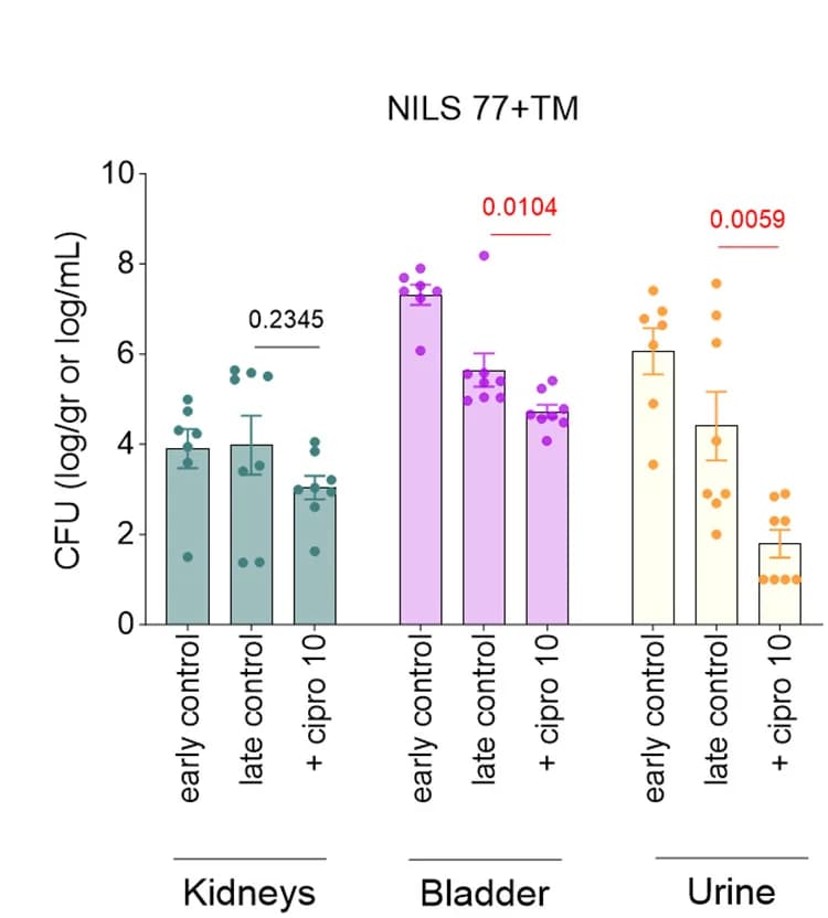 Open access visualization of Bar Plot, Error Bars, Scatter Plot, Bacterial Counts, Kidneys