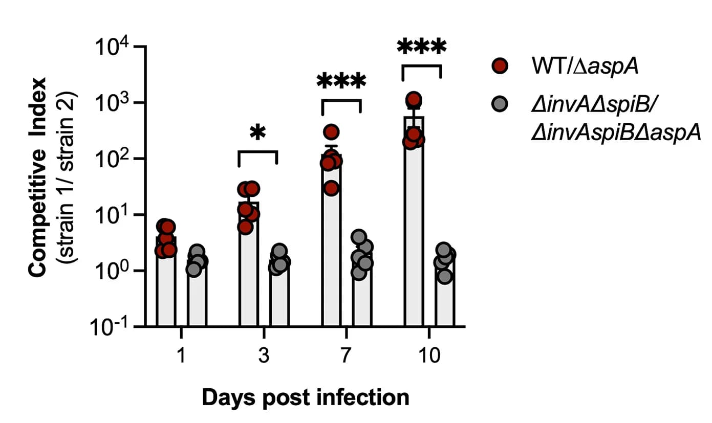Open access visualization of Bar Plot, Scatter Plot, Error Bars, Mice, Infection