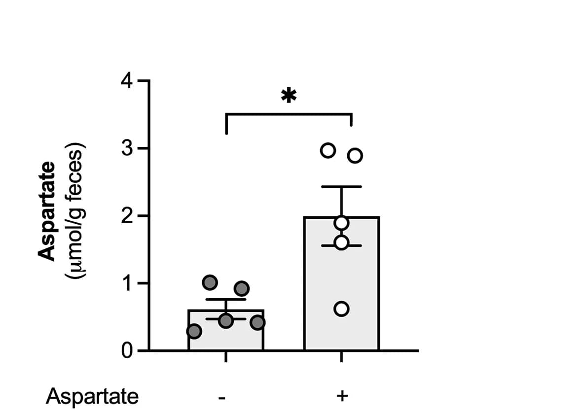 Open access visualization of Bar Plot, Error Bars, Scatter Plot, Fecal Aspartate, Mice