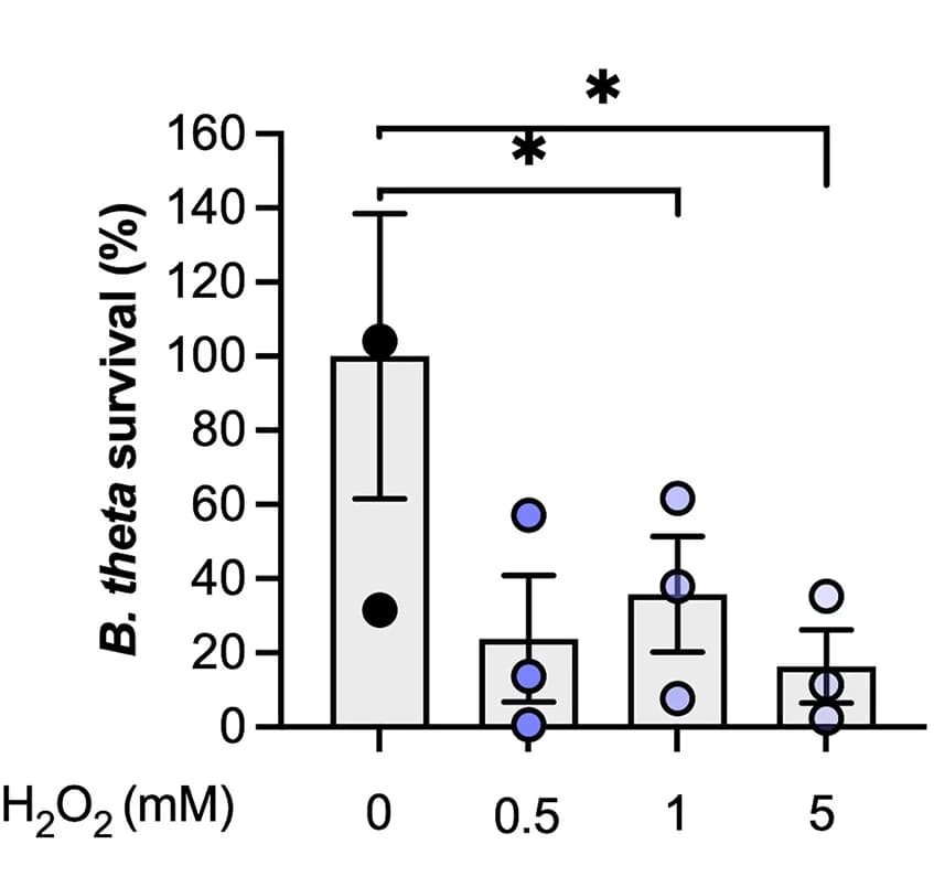 Open access visualization of Bar Plot, Error Bars, Killing Assay, B. theta, In Vitro